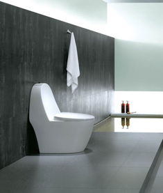 羅芬衛浴R8385坐便器價格、圖片及參數詳解